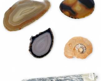Set of Polished Agate Slices, Ammonite Fossil, & Clear Quartz Crystal