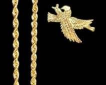 14K Gold Eagle Pendant and Rope Chain