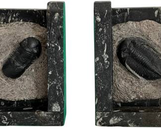 Black Marble Trilobite Bookends