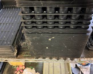 Seed trays