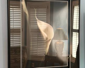 Leon and Tracy Sadlo - Sadlo Fine Arts - Botanicals framed photographic prints.  These will be sold separately