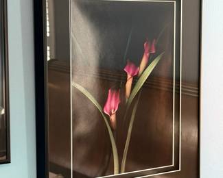 Leon and Tracy Sadlo - Sadlo Fine Arts - Botanicals framed photographic prints.  These will be sold separately