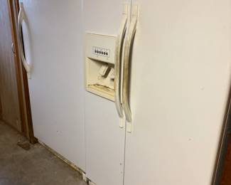 Freezer, garage fridge