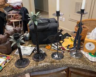 Western and Tropical Decor 