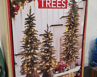 CHRISTMAS TREES