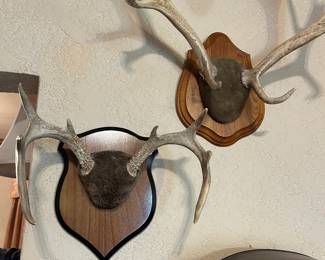 Antler mounts 
