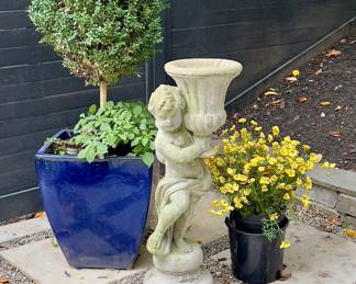 Large Boxwood Topiary in Glazed Blue Terra Cotta Planter 
$500