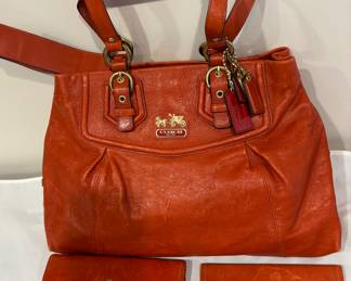 Coach Ashley Carryall handbag, wallet, checkbook