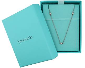 Tiffany & Co. Elsa Peretti Diamonds by the Yard Sterling Necklace
