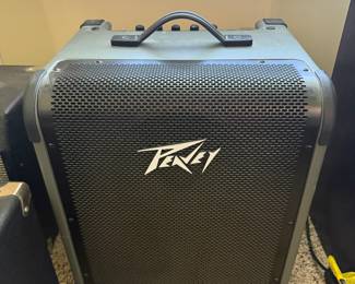 *	#79	Peavey Max 100	 $125.00