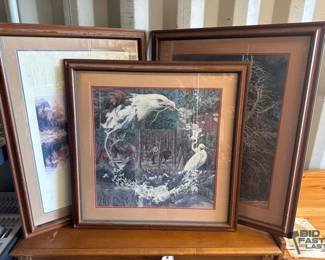 4066  3 Framed Pictures 