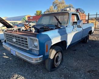 190  1976 Chevrolet Pick Up 