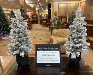 We have been storing our Christmas decor since last January!  This is our biggest Christmas Sale in Open Door History!  Come...Enjoy....and prepare for Christmas 2025!  Just remember the real reason we celebrate!  JESUS!