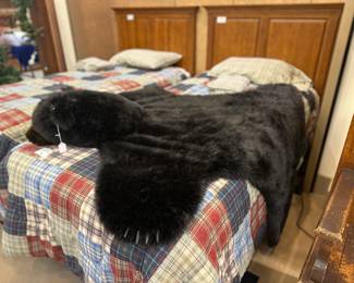 Bear Rug