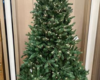 We have over 40 trees in this sale - all different sizes.