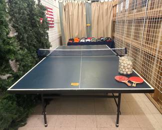 Ping Pong Table