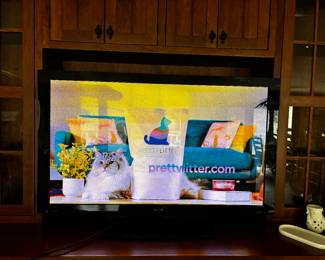 60” TELEVISION WITH SURROUND SOUND