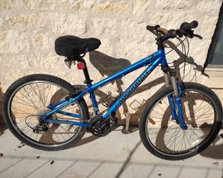 Cannondale multi-speed bicycle