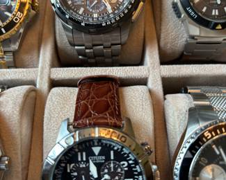 Men’s watch collection