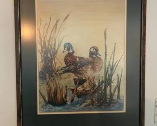 Duck Print - Framed & Matted, 22 x 27
