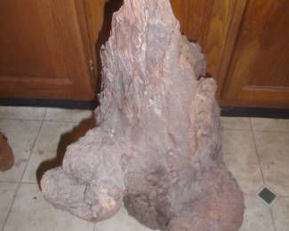 hollow log with burls
