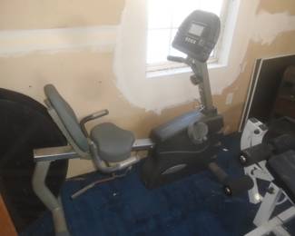 Endurance exercise machine