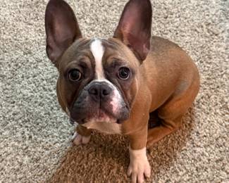 Anna says “I didn’t know who Mary Kirk Kelly was either til I looked her up on my iPad… you should too!”