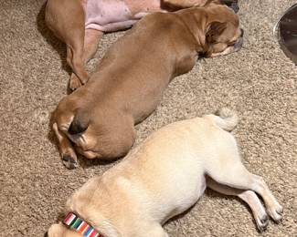 We have worked so hard on this sale… we’re POOPED!!