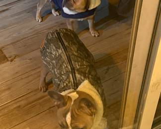 After threatening to call PETA, Moma broke down and bought us some coats! (Stop responding to their texts, Randy!)