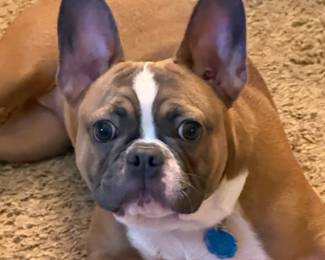 I may lick windows for a living, but I KNOW a great sale when I see one… and this is IT!