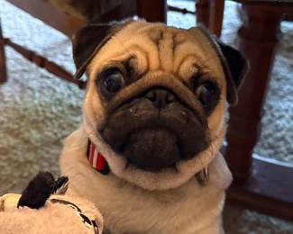 You KNOW you’ve seen at least one item that interests you… come see me at the sale!