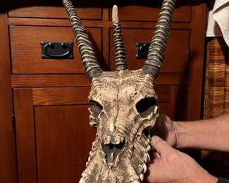 Cold Cast Resin Medieval Dragon Skull
