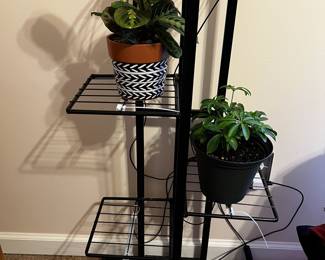 Plant Stand and live houseplants