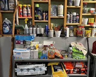 Assorted Cleaning Products and work gloves