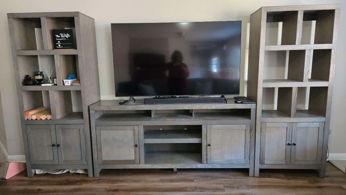 Entertainment System and 65" TV