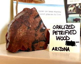 Opalized Petrified wood - Arizona