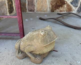 garden frog