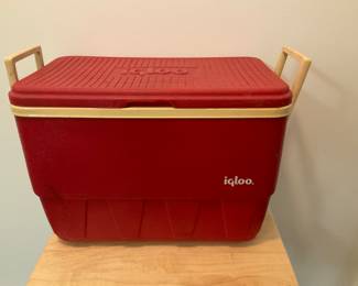 M247.  Igloo cooler $10