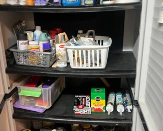 Cleaning Supplies, Paint, and Chemicals