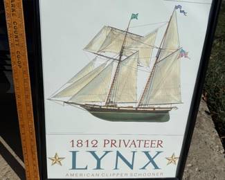 Lynx Poster Framed $18.00