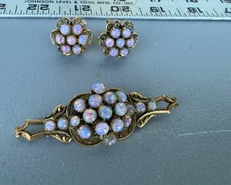 Beautiful Brooch and Clip on Earrings $30.00