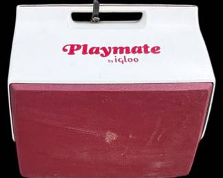 Igloo Playmate Cooler Ice Packs