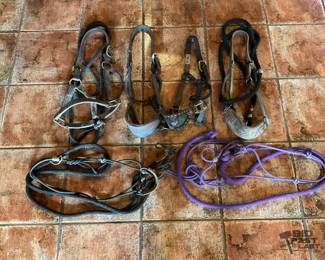 741  MIsc used halters and curb chainsstraps 