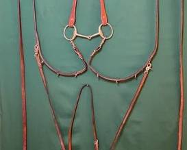 758  German martingale with bridle and extra neck strap 