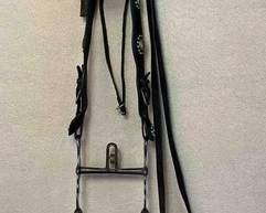 461  Antique western bridle with bird head shank bit 