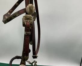 489 Western silver headstall with gag bit