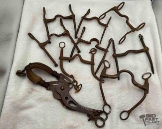 386 8 Antique bits and 1 Antique hackamore