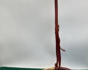 582  Rawhide bosal with leather headstall 