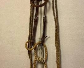 496 Western warmup Loping bridle