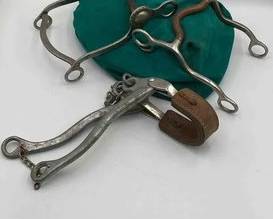 373 2 Bits 1 crockett 1 no marking 1 Hackamore Sliester